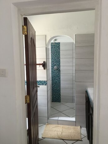 Imagen general del Hotel The Coconut Beach Boutique Lodge and Spa. Foto 12