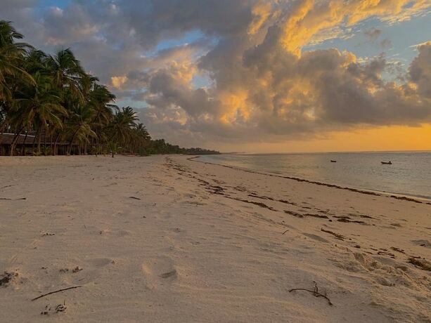 Imagen general del Hotel The Coconut Beach Boutique Lodge and Spa. Foto 14