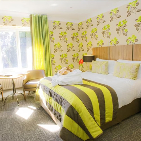 Imagen de la habitación del Hotel The Coed-y-mwstwr. Foto 6