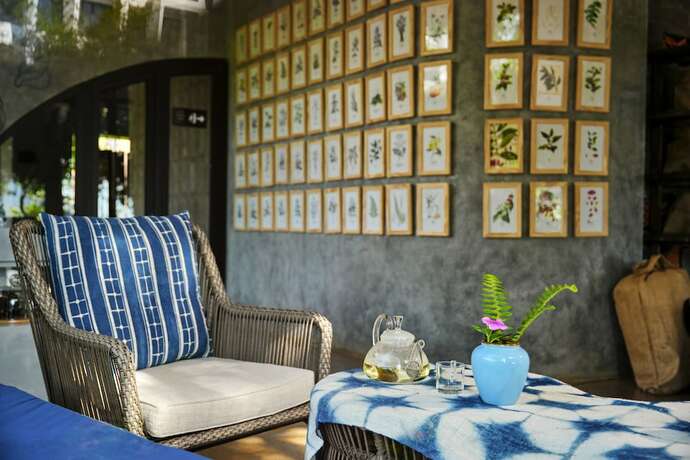 Imagen general del Hotel The Coffee City - Healing and Retreats. Foto 10