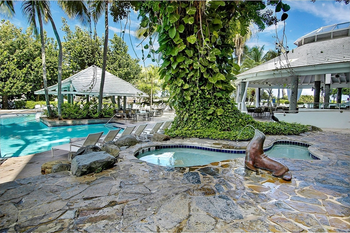 Imagen de la piscina del Hotel The Condado Plaza Hilton. Foto 16