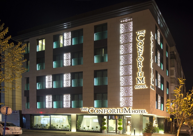 Imagen general del Hotel The Conforium. Foto 10