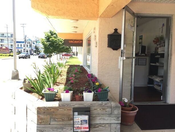 Imagen general del Hotel The Coral Sands Motel. Foto 9