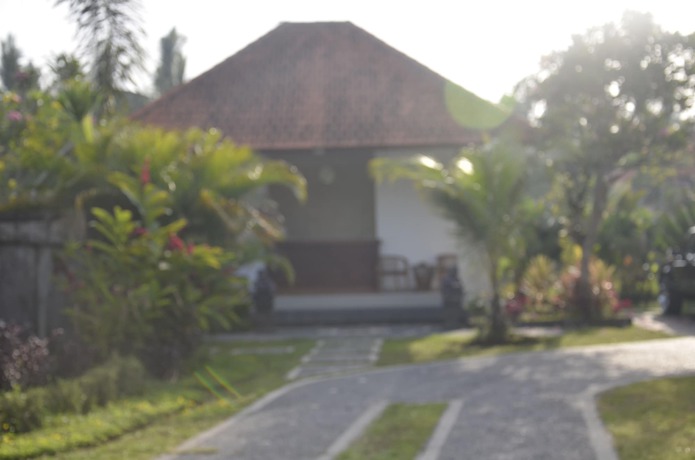 Imagen de los interiores del Hotel The Cory Villa. Foto 19