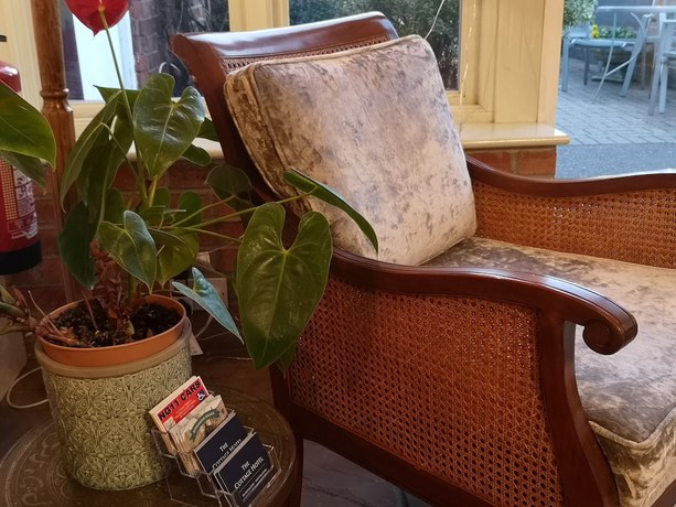 Imagen de los interiores del Hotel The Cottage. Foto 20