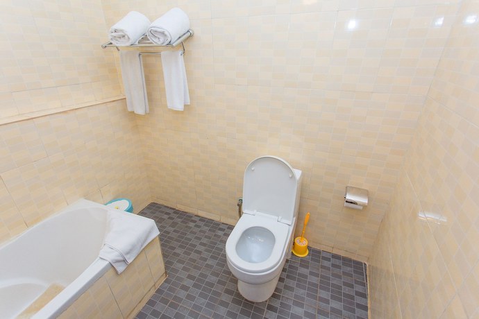 Imagen de la habitación del Hotel The Country Inn. Foto 6