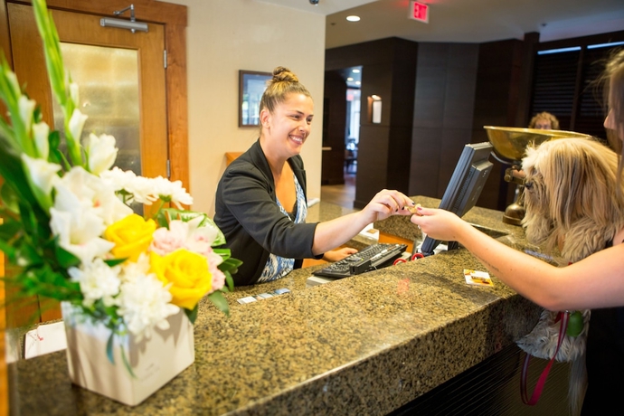 Imagen de los interiores del Hotel The Cove Lakeside Resort. Foto 16