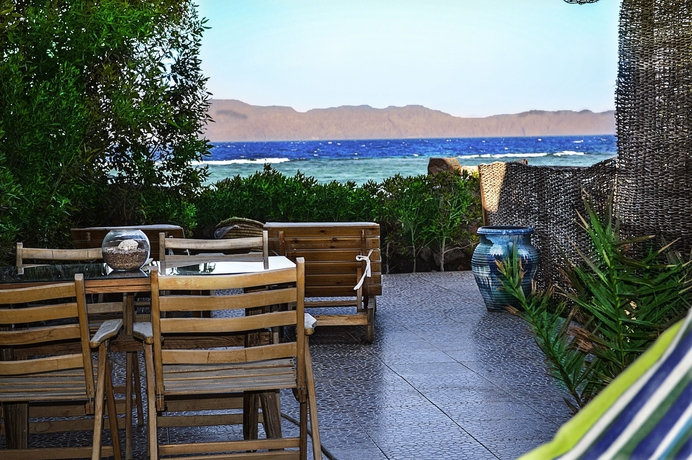 Imagen general del Hotel The Cozy Beach House. Foto 1