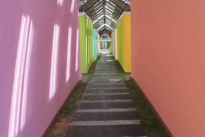 Imagen de los interiores del Hotel The Cozy. Foto 7