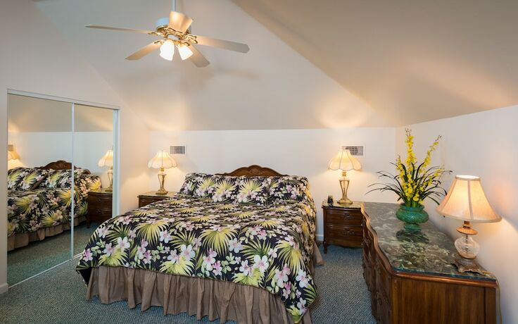 Imagen general del Hotel The Cozy Inn, St Augustine. Foto 5