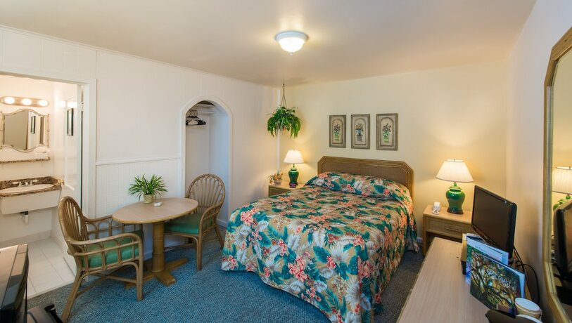 Imagen de la habitación del Hotel The Cozy Inn, St Augustine. Foto 12