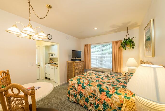 Imagen de la habitación del Hotel The Cozy Inn, St Augustine. Foto 17