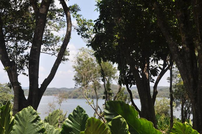 Imagen de los exteriores del Hotel The Deer Park. Foto 5