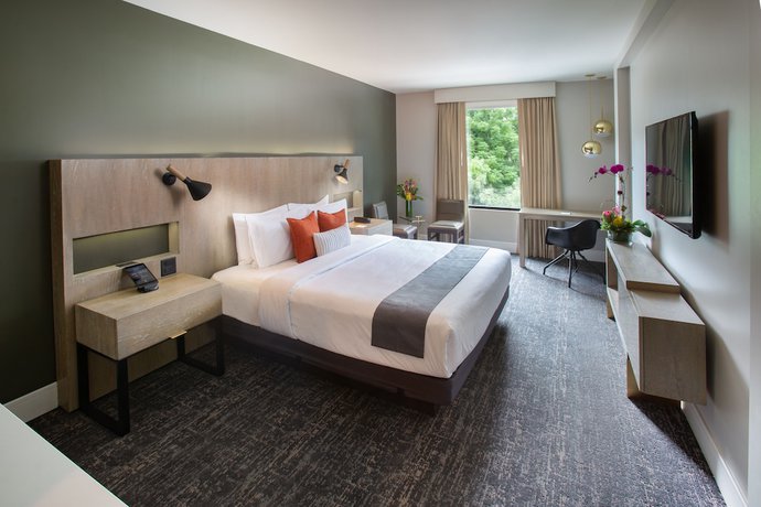 Imagen de la habitación del Hotel The Delaney. Foto 15