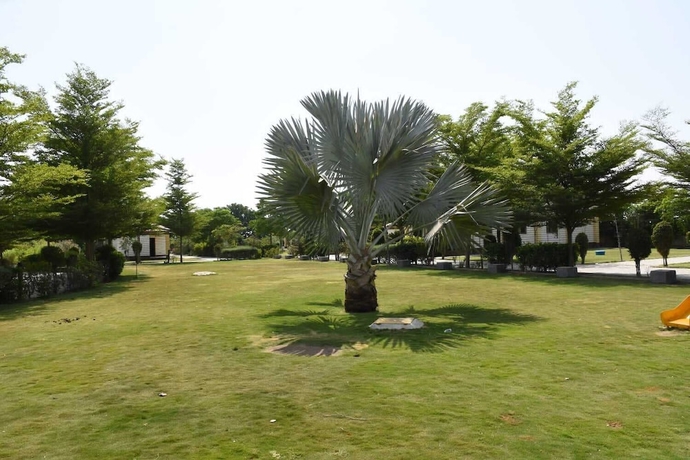 Imagen general del Hotel The Desert Den - Little Rann of Kutch. Foto 1