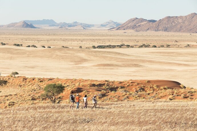 Imagen general del Hotel The Desert Grace. Foto 13