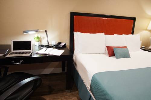 Imagen de la habitación del Hotel The Dixie Orange County. Foto 11