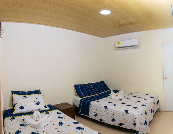 Imagen de la habitación del Hotel The Dolphin Santa Marta. Foto 5