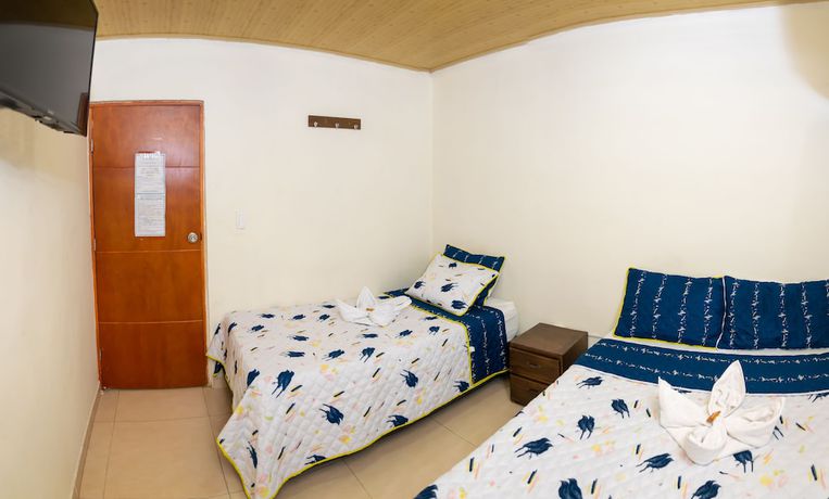 Imagen de la habitación del Hotel The Dolphin Santa Marta. Foto 18