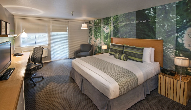 Imagen de la habitación del Hotel The Domain. Foto 3