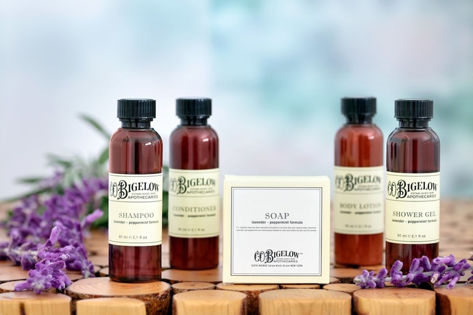 Imagen de la habitación del Hotel The Domain. Foto 11