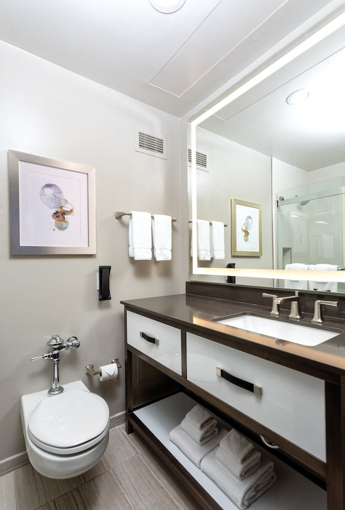 Imagen de la habitación del Hotel The Donatello. Foto 12