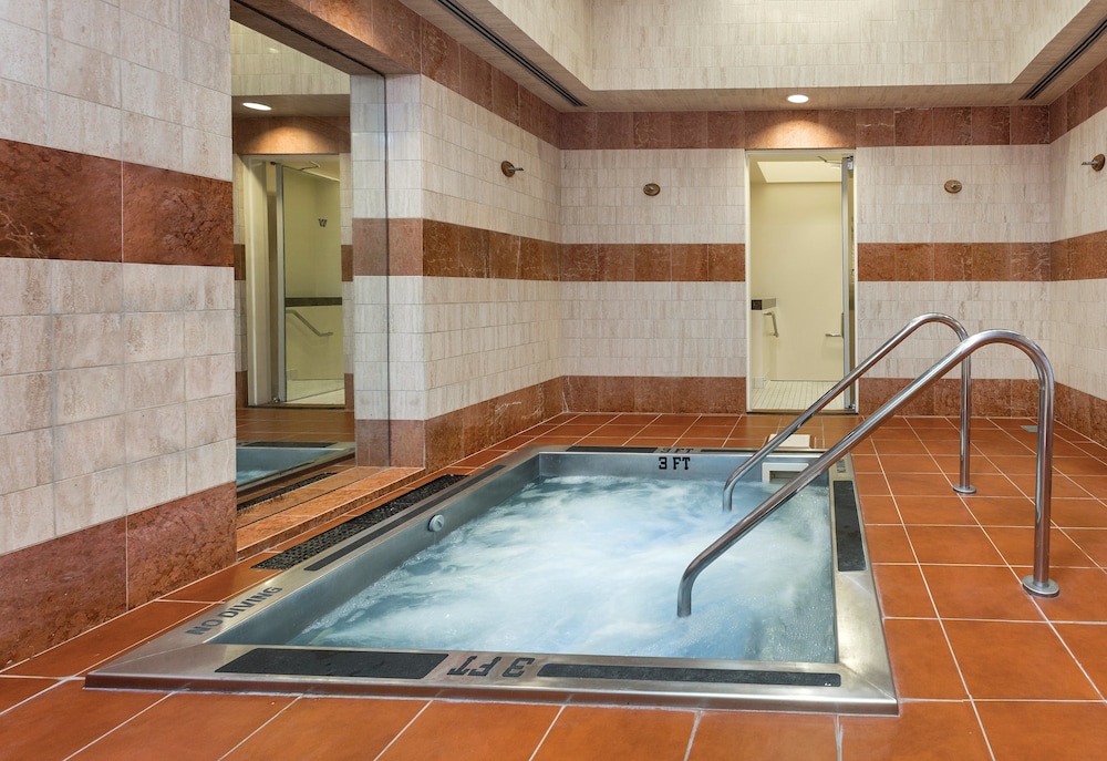 Imagen de la piscina del Hotel The Donatello. Foto 20