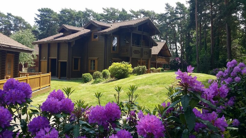 Imagen general del Hotel The Dorset Resort. Foto 9