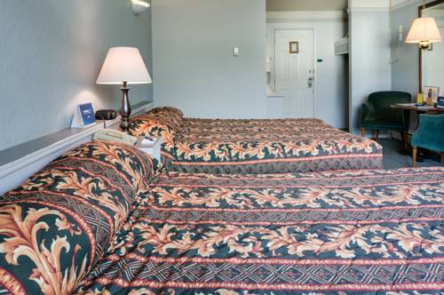 Imagen de la habitación del Hotel The Drake Inn, Canmore. Foto 5