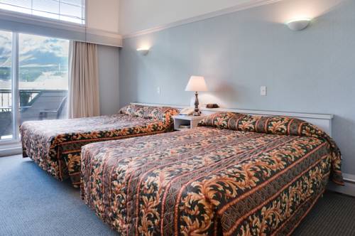 Imagen de la habitación del Hotel The Drake Inn, Canmore. Foto 16