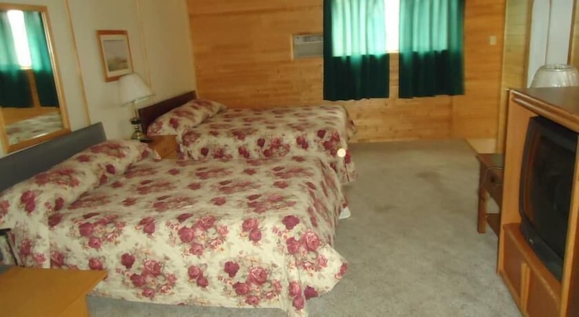 Imagen de la habitación del Hotel The Dreamland Motel. Foto 6