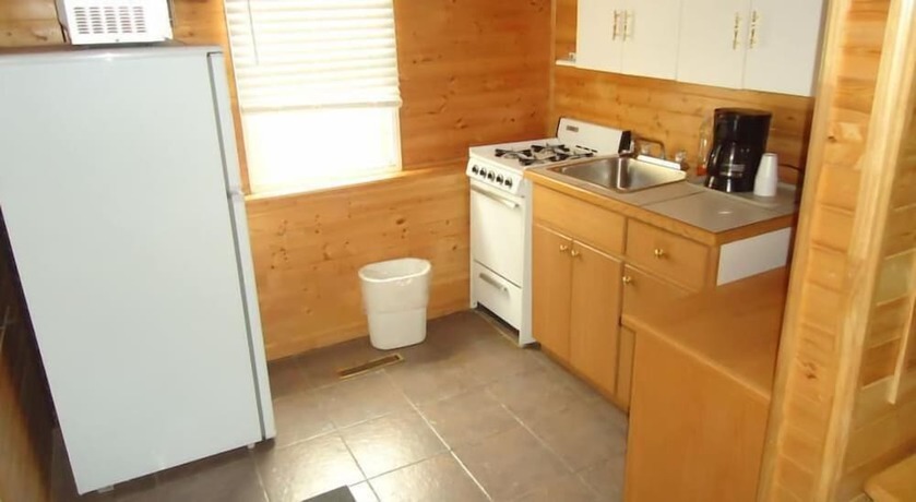 Imagen de la habitación del Hotel The Dreamland Motel. Foto 8