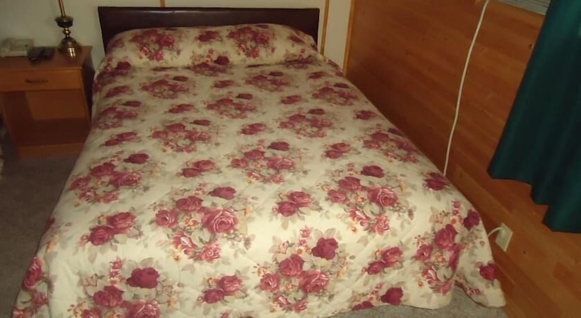 Imagen de la habitación del Hotel The Dreamland Motel. Foto 12