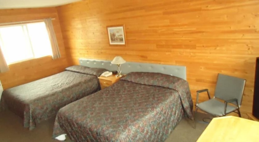 Imagen de la habitación del Hotel The Dreamland Motel. Foto 15