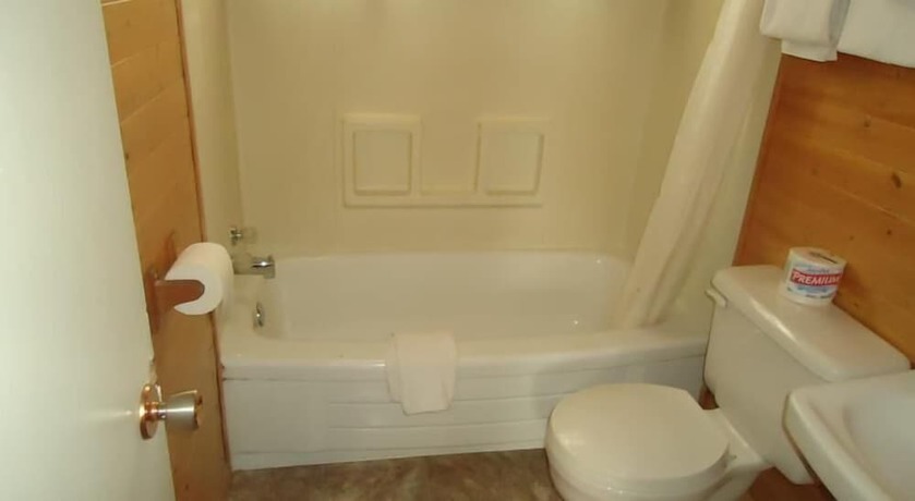 Imagen de la habitación del Hotel The Dreamland Motel. Foto 17