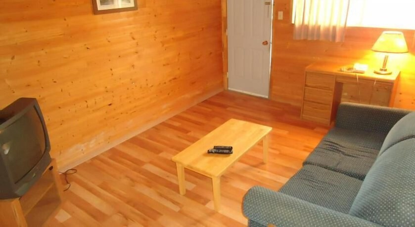 Imagen de la habitación del Hotel The Dreamland Motel. Foto 18