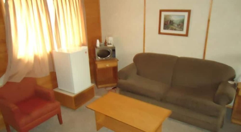 Imagen de la habitación del Hotel The Dreamland Motel. Foto 19