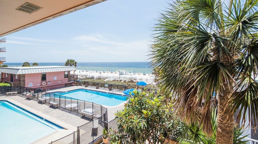 Imagen general del Hotel The Driftwood Lodge. Foto 4