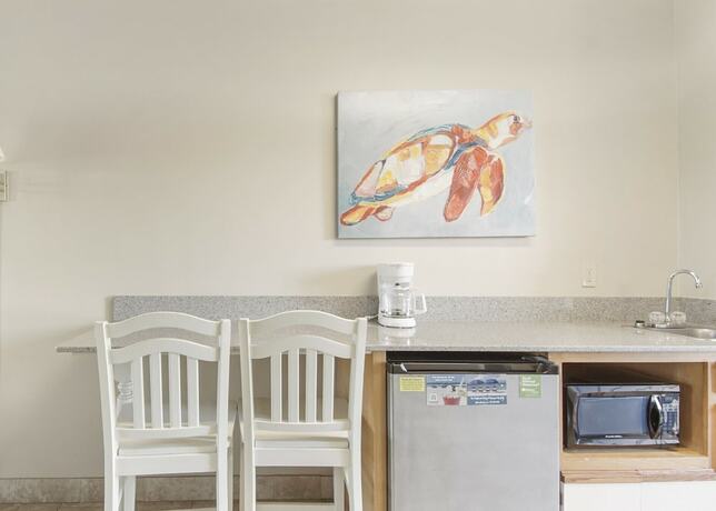 Imagen general del Hotel The Driftwood Lodge. Foto 13