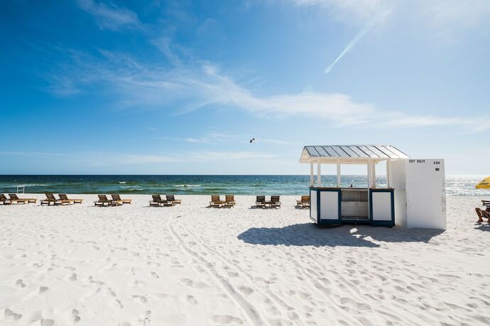 Imagen general del Hotel The Driftwood Lodge. Foto 15