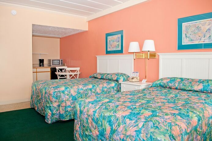 Imagen de la habitación del Hotel The Driftwood Lodge. Foto 22