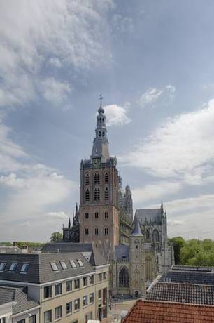 Imagen de la habitación del Hotel The Duke Boutique, Bolduque. Foto 13