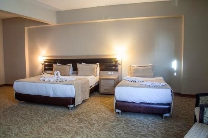 Imagen de la habitación del Hotel The Duman. Foto 3