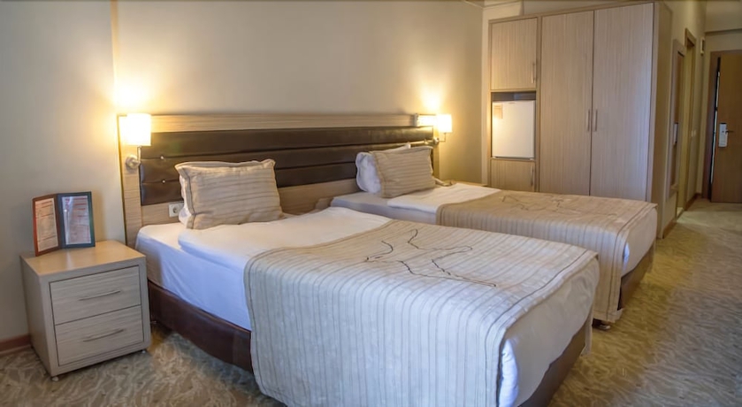 Imagen de la habitación del Hotel The Duman. Foto 8