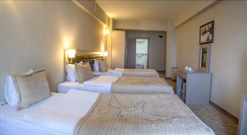 Imagen de la habitación del Hotel The Duman. Foto 12