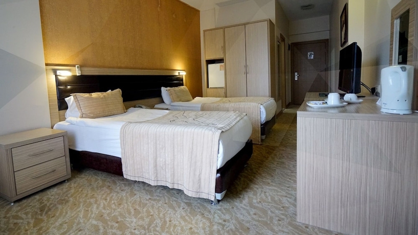 Imagen de la habitación del Hotel The Duman. Foto 14