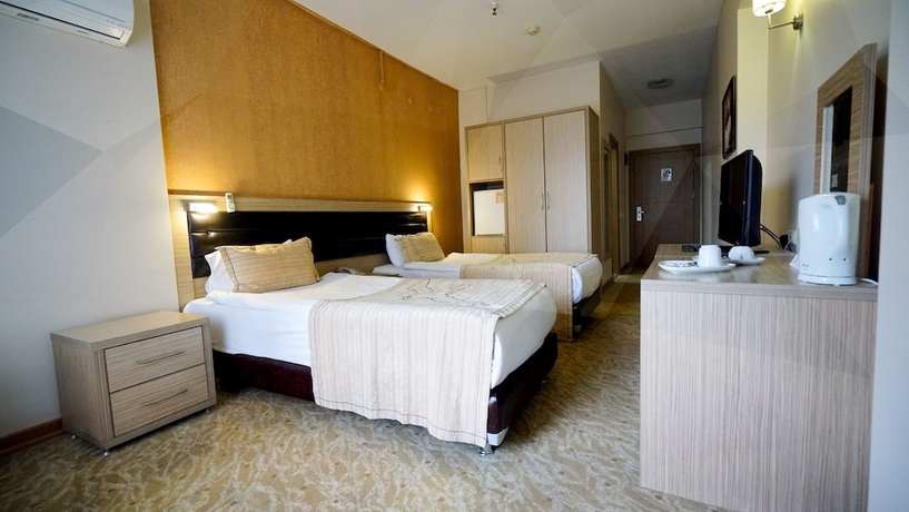 Imagen de la habitación del Hotel The Duman. Foto 16