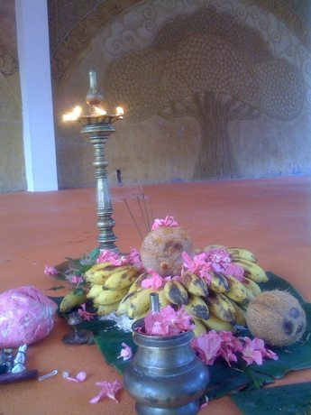 Imagen de los interiores del Hotel The Eco, The Poolside Beach Retreat. Foto 10