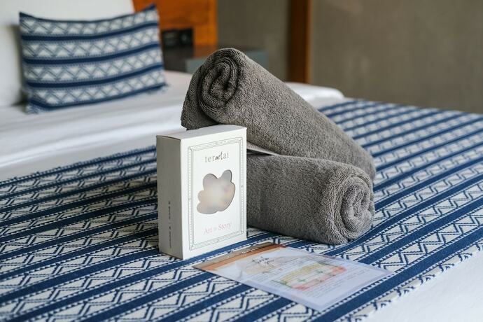 Imagen general del Hotel The Elementum. Foto 6