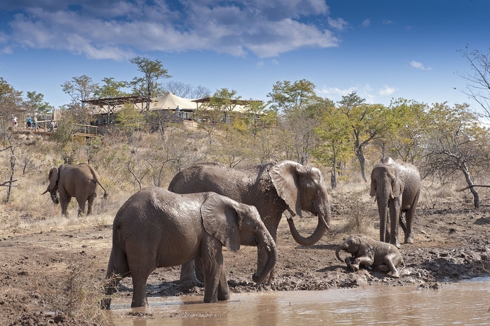 Imagen general del Hotel The Elephant Camp. Foto 1